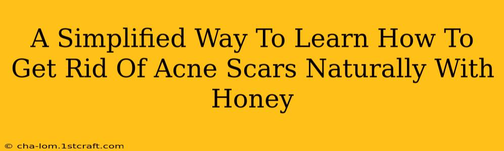 A Simplified Way To Learn How To Get Rid Of Acne Scars Naturally With Honey