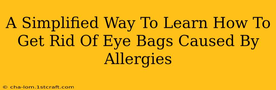 A Simplified Way To Learn How To Get Rid Of Eye Bags Caused By Allergies