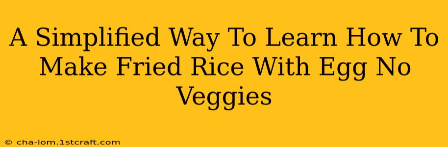 A Simplified Way To Learn How To Make Fried Rice With Egg No Veggies