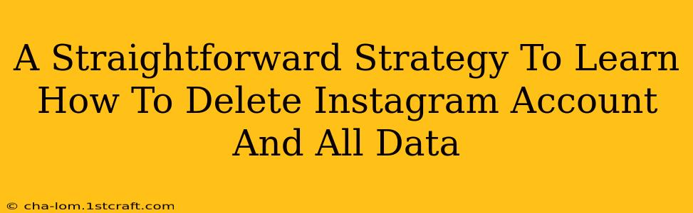 A Straightforward Strategy To Learn How To Delete Instagram Account And All Data