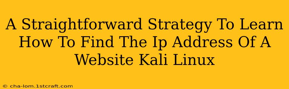 A Straightforward Strategy To Learn How To Find The Ip Address Of A Website Kali Linux