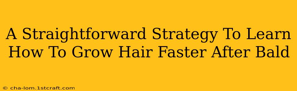 A Straightforward Strategy To Learn How To Grow Hair Faster After Bald