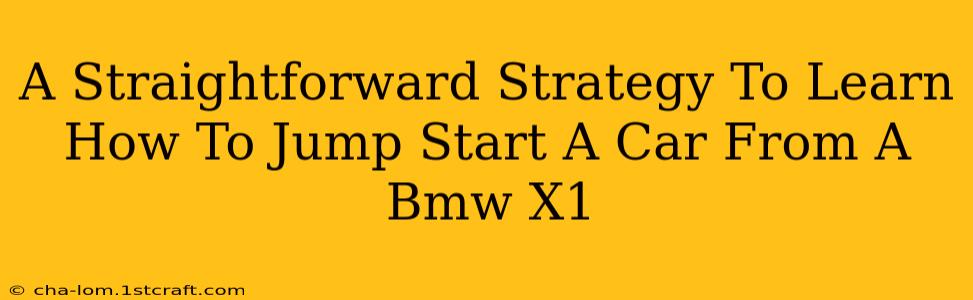 A Straightforward Strategy To Learn How To Jump Start A Car From A Bmw X1