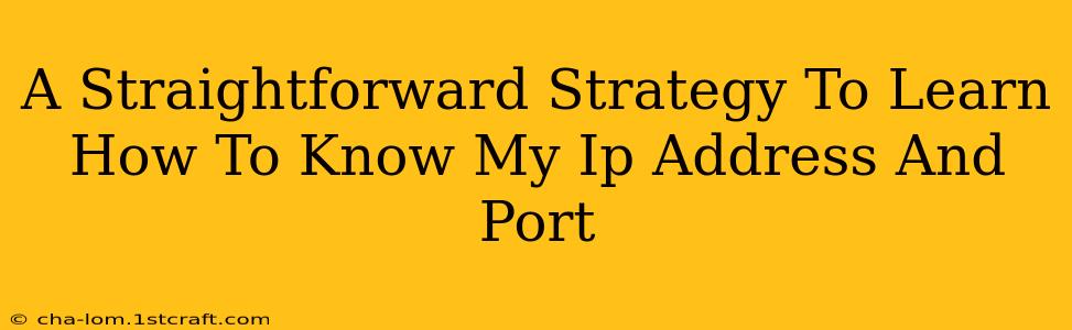 A Straightforward Strategy To Learn How To Know My Ip Address And Port