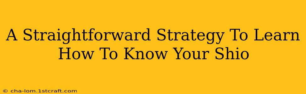 A Straightforward Strategy To Learn How To Know Your Shio