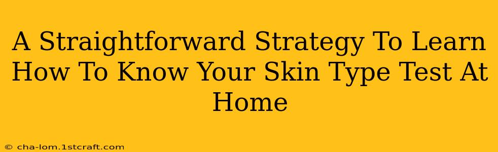 A Straightforward Strategy To Learn How To Know Your Skin Type Test At Home