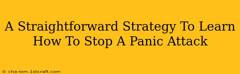 A Straightforward Strategy To Learn How To Stop A Panic Attack