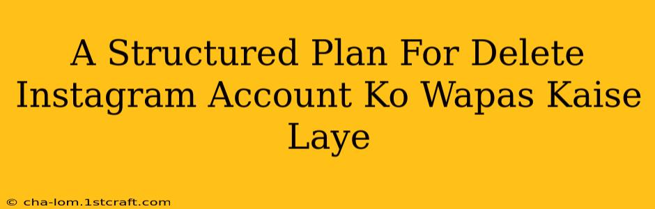 A Structured Plan For Delete Instagram Account Ko Wapas Kaise Laye