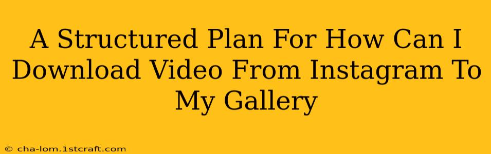 A Structured Plan For How Can I Download Video From Instagram To My Gallery