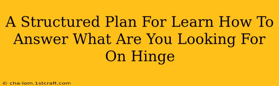 A Structured Plan For Learn How To Answer What Are You Looking For On Hinge