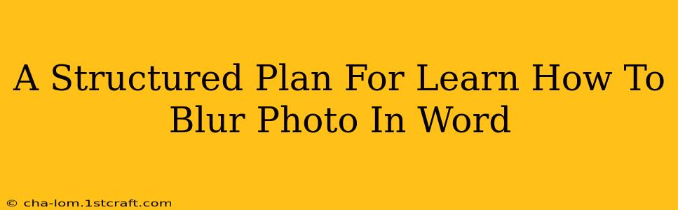 A Structured Plan For Learn How To Blur Photo In Word