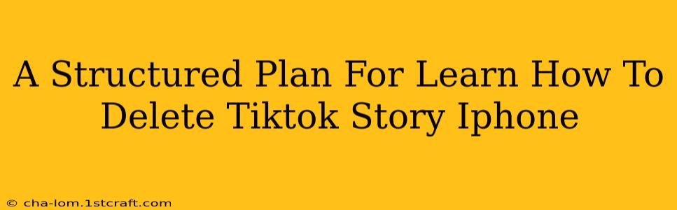 A Structured Plan For Learn How To Delete Tiktok Story Iphone