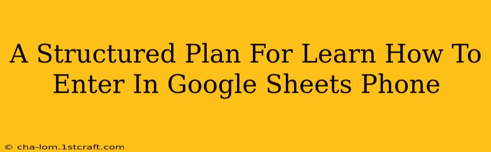 A Structured Plan For Learn How To Enter In Google Sheets Phone