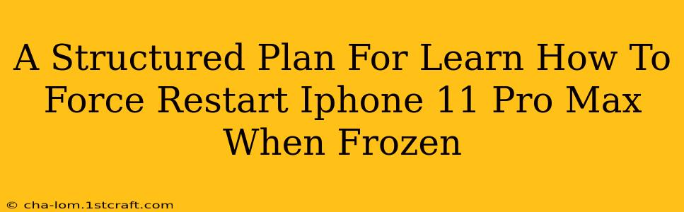 A Structured Plan For Learn How To Force Restart Iphone 11 Pro Max When Frozen