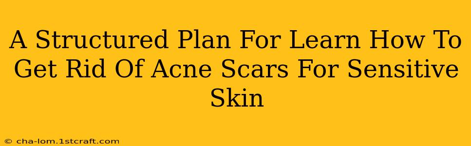 A Structured Plan For Learn How To Get Rid Of Acne Scars For Sensitive Skin