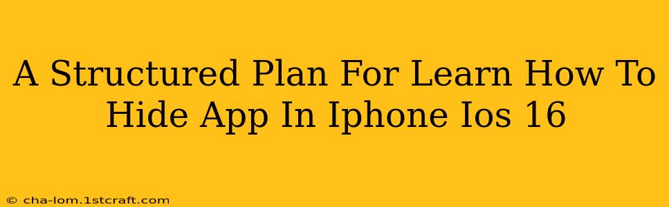 A Structured Plan For Learn How To Hide App In Iphone Ios 16