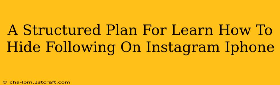 A Structured Plan For Learn How To Hide Following On Instagram Iphone