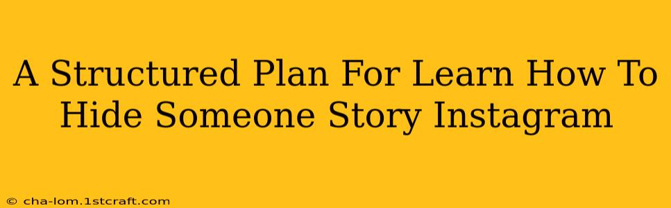 A Structured Plan For Learn How To Hide Someone Story Instagram