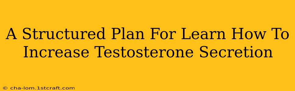 A Structured Plan For Learn How To Increase Testosterone Secretion