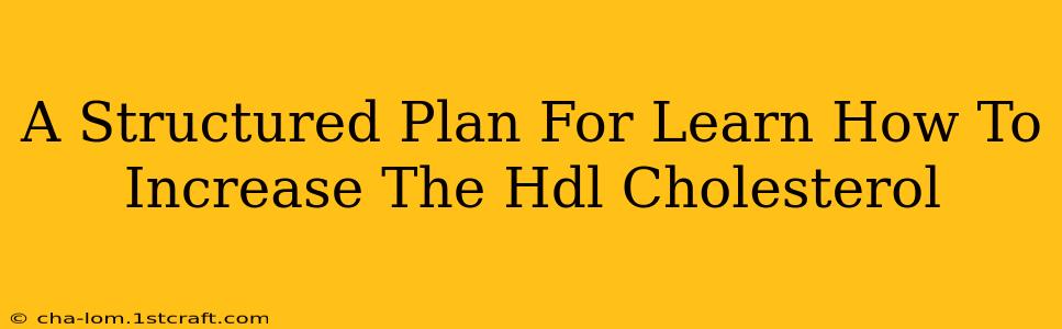 A Structured Plan For Learn How To Increase The Hdl Cholesterol