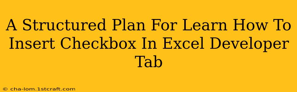 A Structured Plan For Learn How To Insert Checkbox In Excel Developer Tab