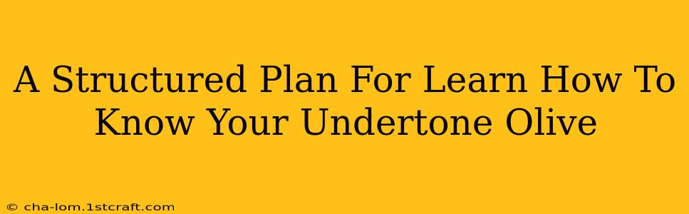 A Structured Plan For Learn How To Know Your Undertone Olive