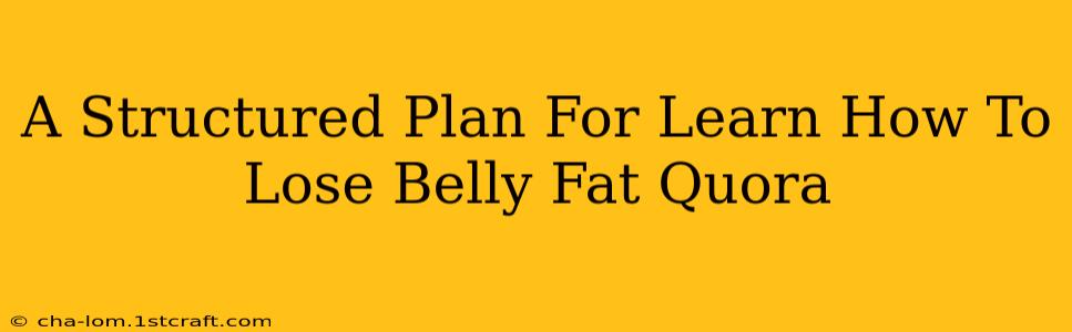 A Structured Plan For Learn How To Lose Belly Fat Quora