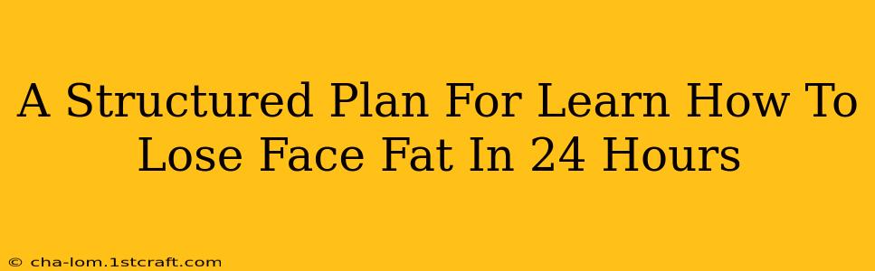 A Structured Plan For Learn How To Lose Face Fat In 24 Hours