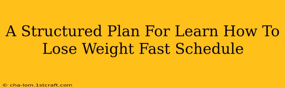 A Structured Plan For Learn How To Lose Weight Fast Schedule