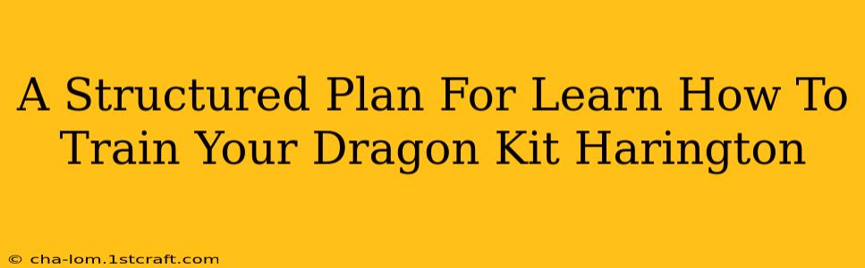 A Structured Plan For Learn How To Train Your Dragon Kit Harington