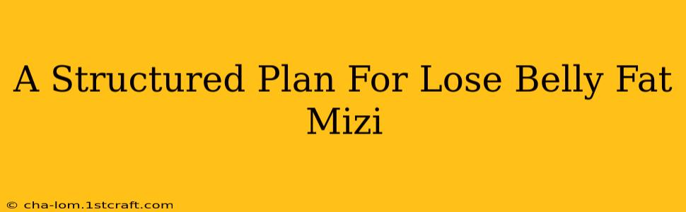 A Structured Plan For Lose Belly Fat Mizi