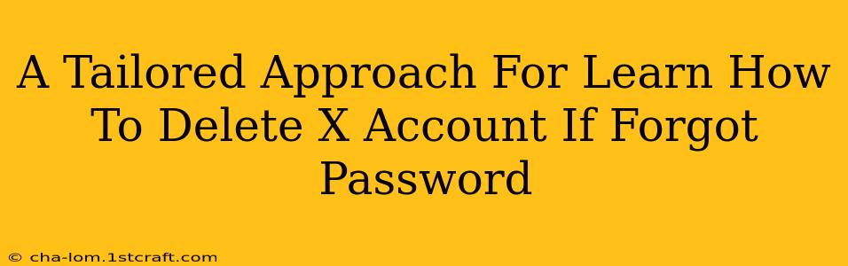 A Tailored Approach For Learn How To Delete X Account If Forgot Password