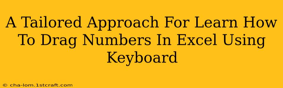 A Tailored Approach For Learn How To Drag Numbers In Excel Using Keyboard