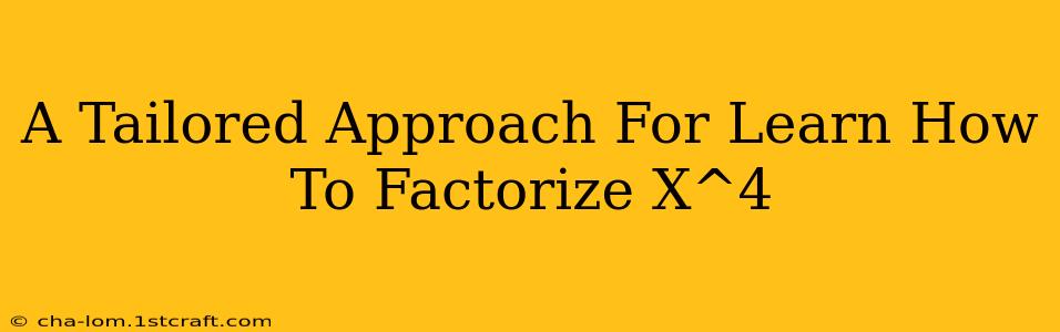 A Tailored Approach For Learn How To Factorize X^4