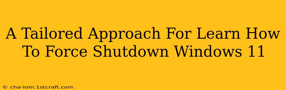 A Tailored Approach For Learn How To Force Shutdown Windows 11