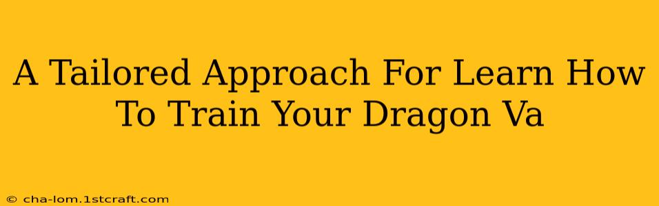 A Tailored Approach For Learn How To Train Your Dragon Va