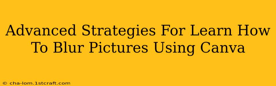 Advanced Strategies For Learn How To Blur Pictures Using Canva