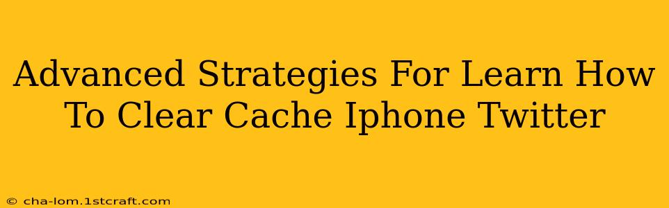 Advanced Strategies For Learn How To Clear Cache Iphone Twitter