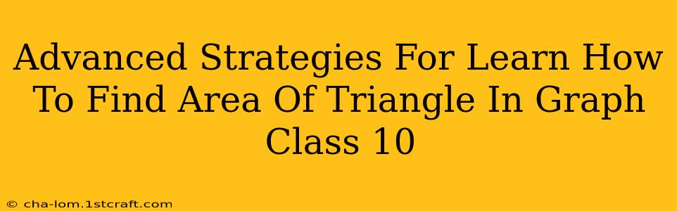 Advanced Strategies For Learn How To Find Area Of Triangle In Graph Class 10