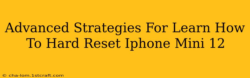 Advanced Strategies For Learn How To Hard Reset Iphone Mini 12