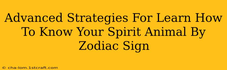 Advanced Strategies For Learn How To Know Your Spirit Animal By Zodiac Sign