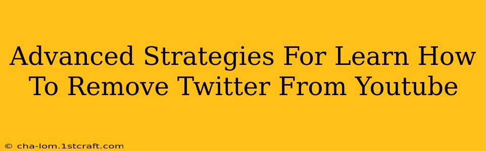 Advanced Strategies For Learn How To Remove Twitter From Youtube