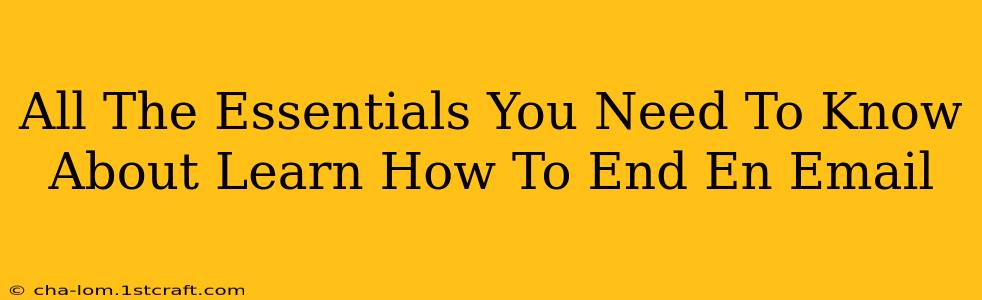 All The Essentials You Need To Know About Learn How To End En Email