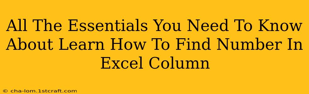 All The Essentials You Need To Know About Learn How To Find Number In Excel Column