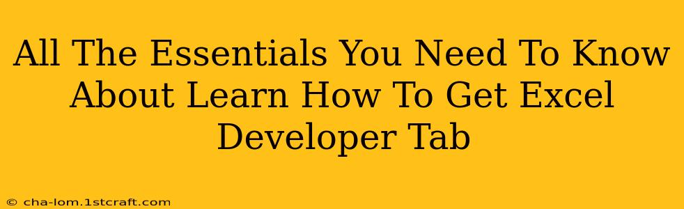 All The Essentials You Need To Know About Learn How To Get Excel Developer Tab