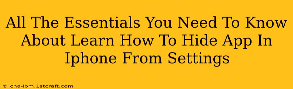 All The Essentials You Need To Know About Learn How To Hide App In Iphone From Settings