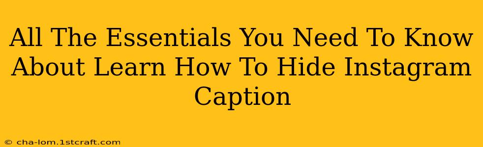 All The Essentials You Need To Know About Learn How To Hide Instagram Caption