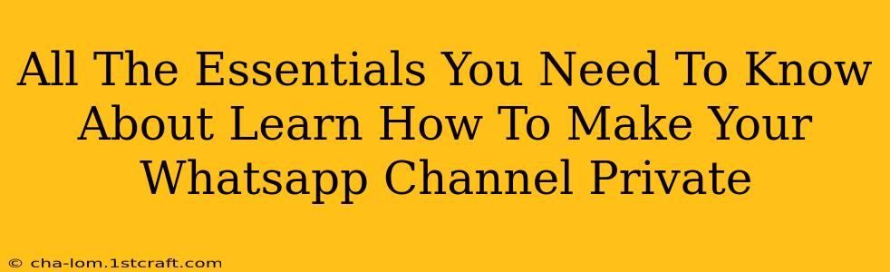 All The Essentials You Need To Know About Learn How To Make Your Whatsapp Channel Private