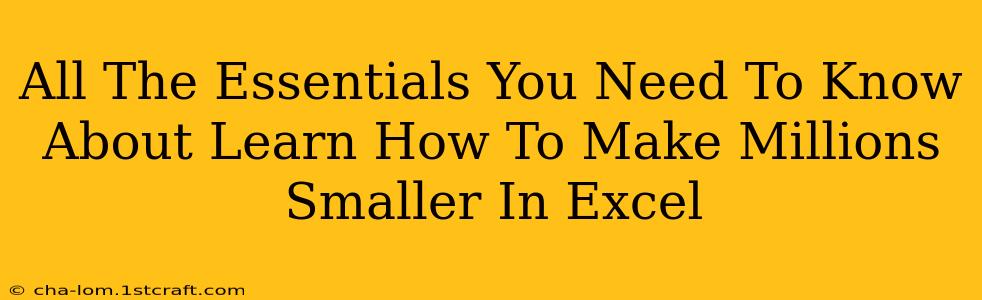 All The Essentials You Need To Know About Learn How To Make Millions Smaller In Excel