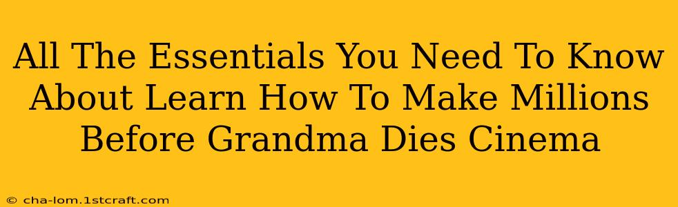 All The Essentials You Need To Know About Learn How To Make Millions Before Grandma Dies Cinema